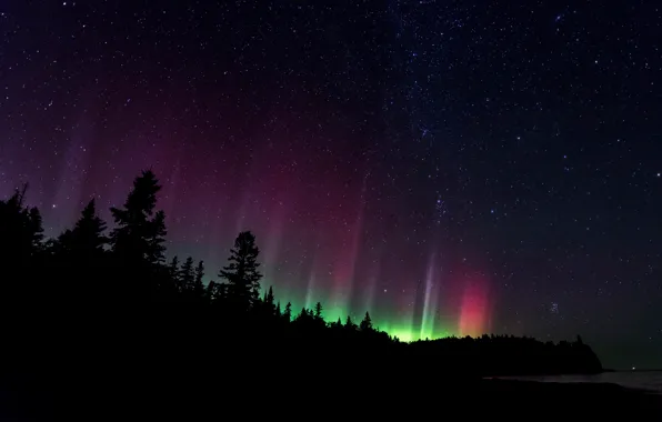 Forest, the sky, stars, night, Northern lights, silhouette, North