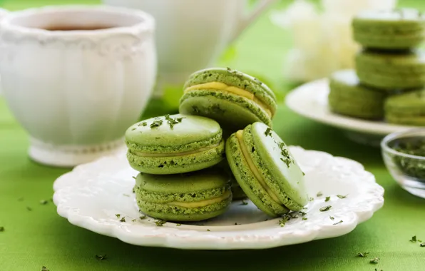Green, tea, cake, macaroon