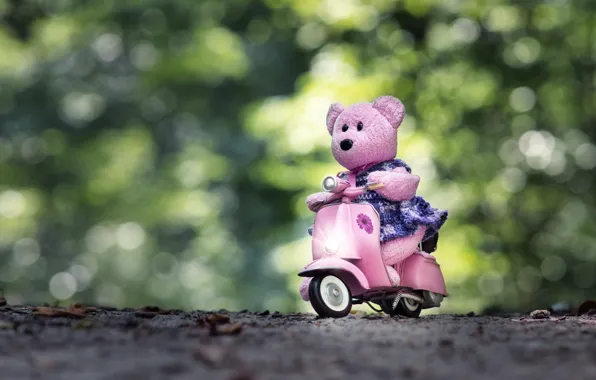 Picture mood, toy, bear, bear, scooter, bokeh, scooter