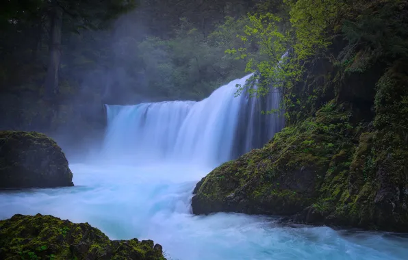 Picture forest, river, waterfall, Columbia River Gorge, Washington State, Little White Salmon River, Spirit If, The …