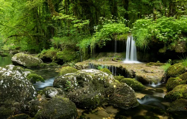 Picture greens, forest, summer, grass, stones, vegetation, waterfall, stream