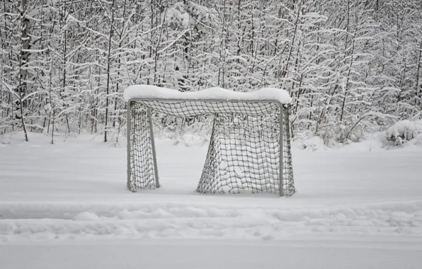 Picture winter, snow, gate