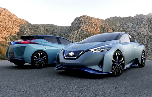 Picture Concept, the concept, Nissan, Nissan, IDS