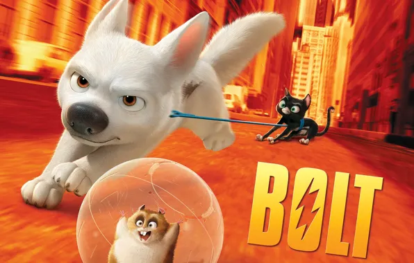 Cat, dog, hamster, Volt, Bolt