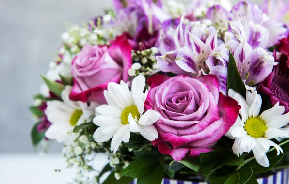 Picture flowers, roses, chamomile, bouquet