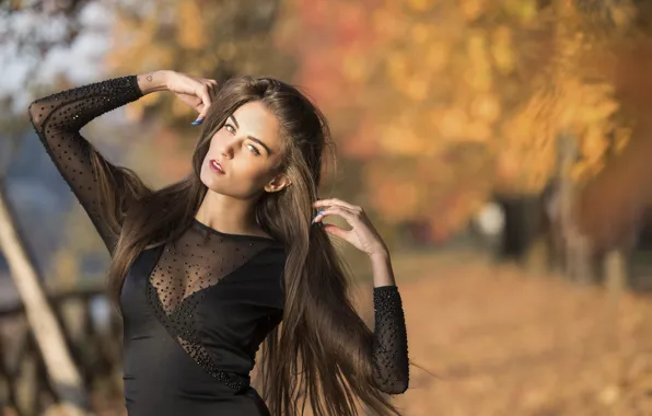 Look, background, model, hair, dress, beauty, Federica