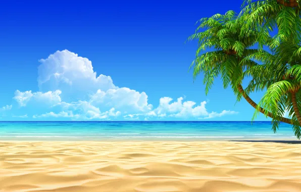 Sand, sea, clouds, palm trees