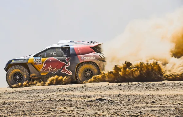 2008, Dust, Sport, Speed, Race, Peugeot, Heat, Red Bull