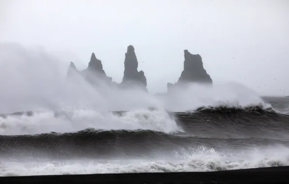 Sea, wave, storm, fog, overcast, rocks, haze, silhouettes