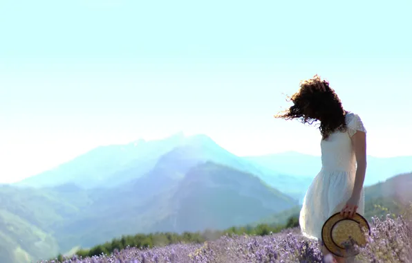 Field, summer, grass, girl, lavender