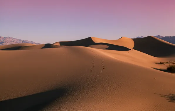 Sand, landscape, desert, dunes