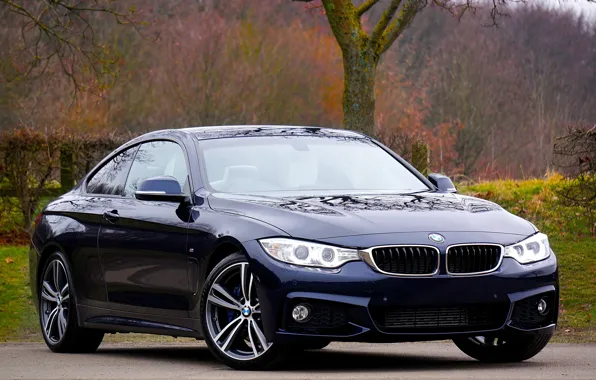 Picture machine, trees, nature, BMW, car