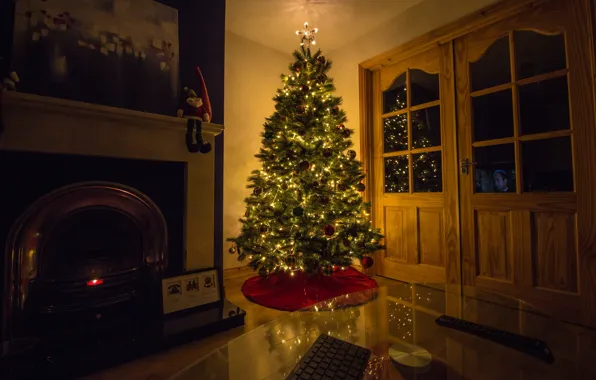 House, holiday, tree