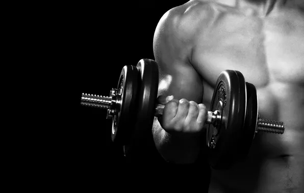 Man, fitness, gym, arms, dumbbell