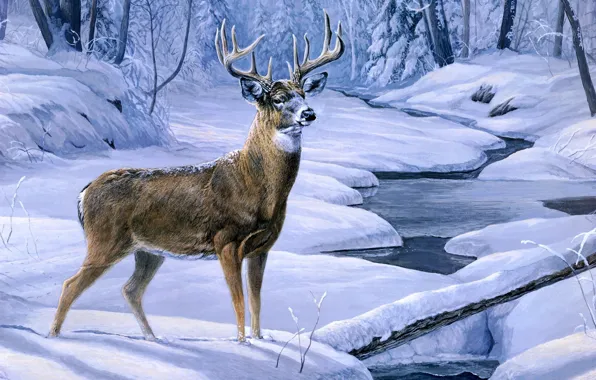 Winter, forest, snow, stream, deer, forest, painting, winter