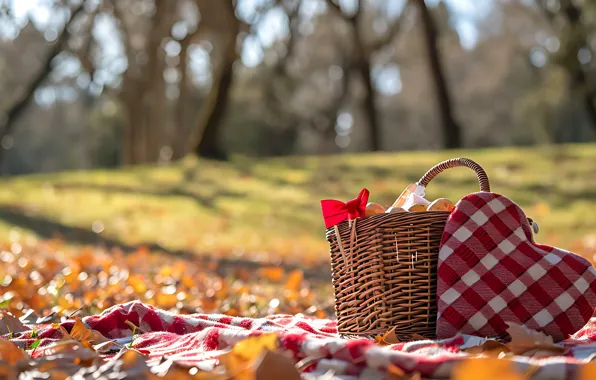 Grass, light, love, nature, Park, holiday, glade, foliage