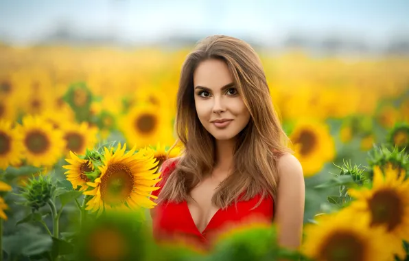 Sunflowers, pose, smile, Girl, dress, Sergey Gokk