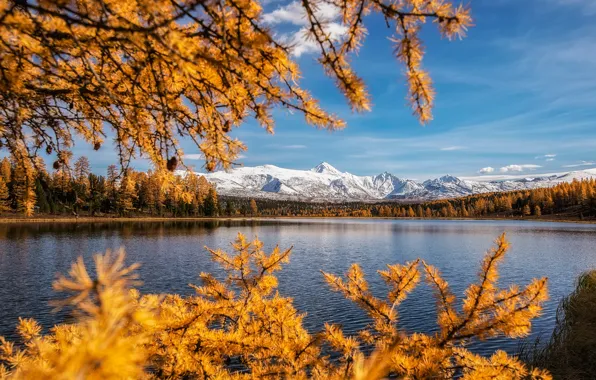 Autumn, landscape, mountains, branches, nature, lake, shore, forest
