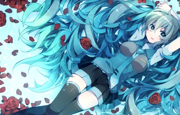 Look, water, roses, petals, art, vocaloid, hatsune miku, Vocaloid