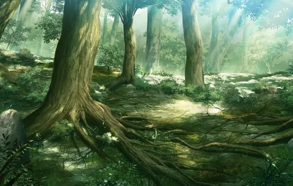 Grass, light, trees, nature, roots, stones, plants, anime