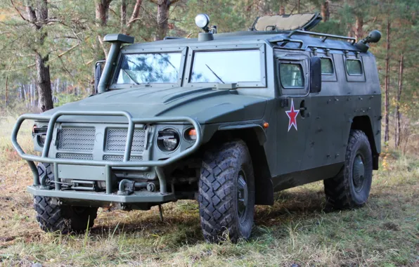 Tiger, Russia, armored car