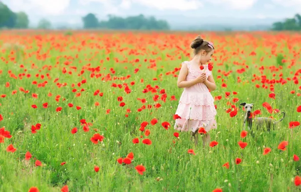 Picture summer, Maki, dog, girl