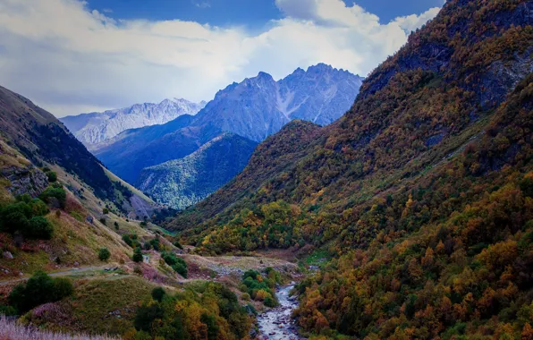 Forest, mountains, slope, North Ossetia, Jinaga