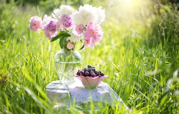 Picture summer, grass, flowers, nature, berries, vase, still life, cherry