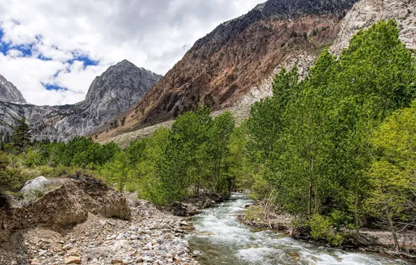 The sky, clouds, trees, mountains, stream, stones, rocks, valley