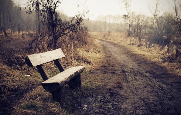 Picture road, fog, bench
