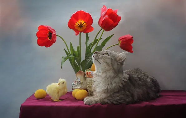 Cat, flowers, table, animal, holiday, eggs, Easter, tulips