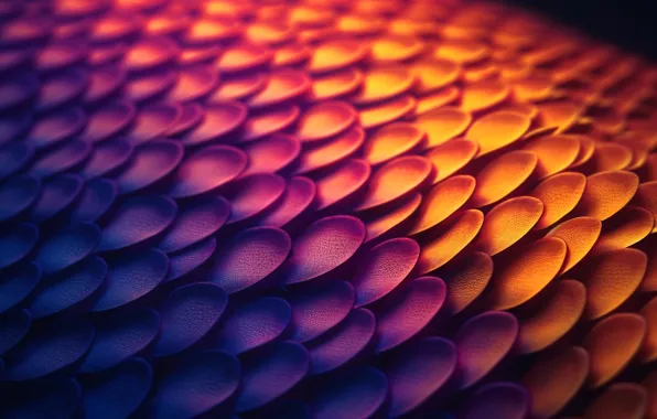 Wallpaper light, orange, lilac, dragon, texture, scales, dragon scales ...