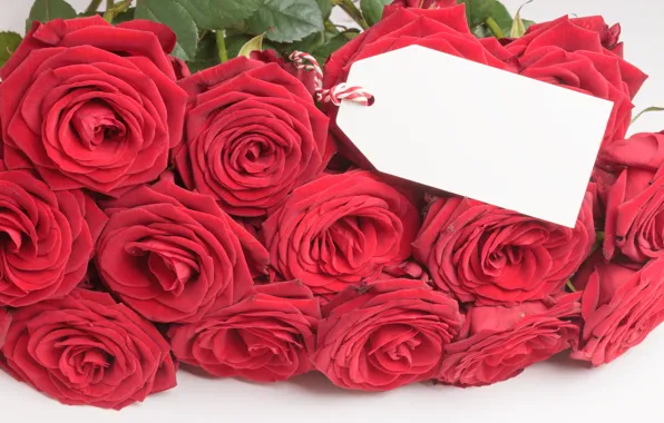 Picture flowers, roses, bouquet, red, red, buds, flowers, romantic