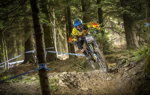 Bike, race, sport