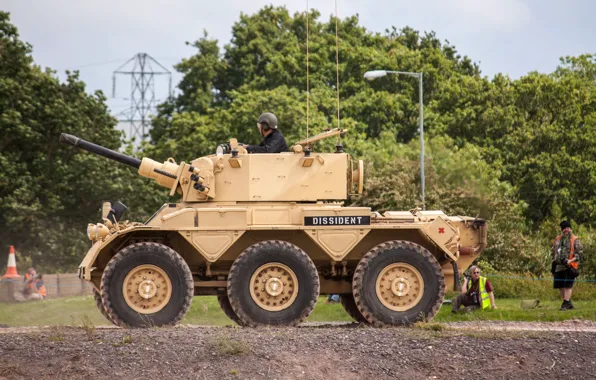 Soldier, military, man, tank, armored, pearls, vegetation, cannon