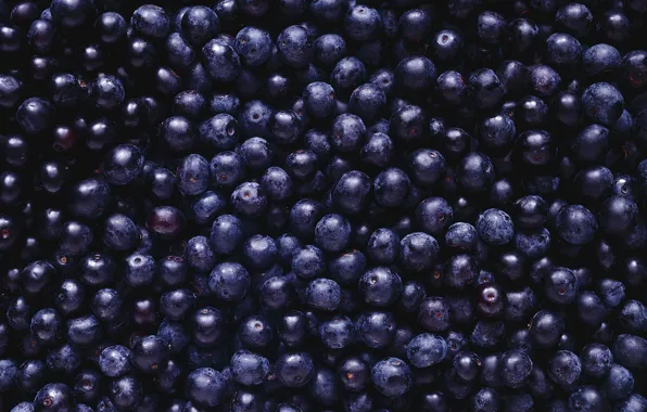 Berries, black, blueberries, a lot