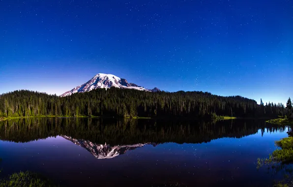 Picture forest, the sky, stars, trees, lake, mountain
