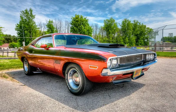HDR, Dodge Challenger, 1970, the front, Dodge Chelenzher