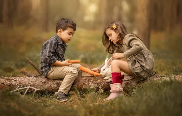 Picture forest, nature, children, animal, boy, rabbit, girl, log