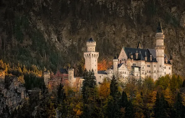 Autumn, forest, rocks, Germany, Neuschwanstein Castle, South-Western Bavaria, November