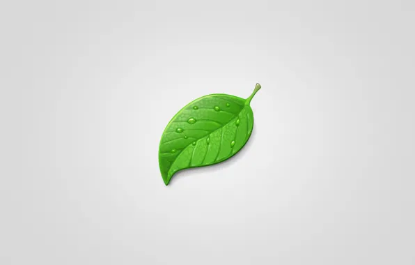 Drops, sheet, green, green, minimalism, light background, leaf