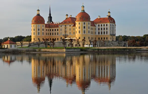 Pond, castle, Germany, Saxony, Moritzburg