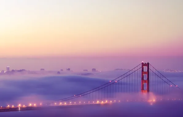 Lights, fog, san francisco, San Francisco, golden gate bridge