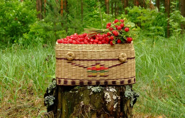 Picture basket, stump, strawberries