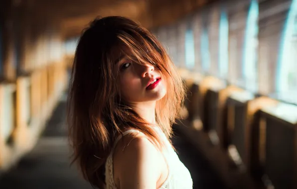 Look, model, portrait, makeup, hairstyle, brown hair, Asian, bokeh
