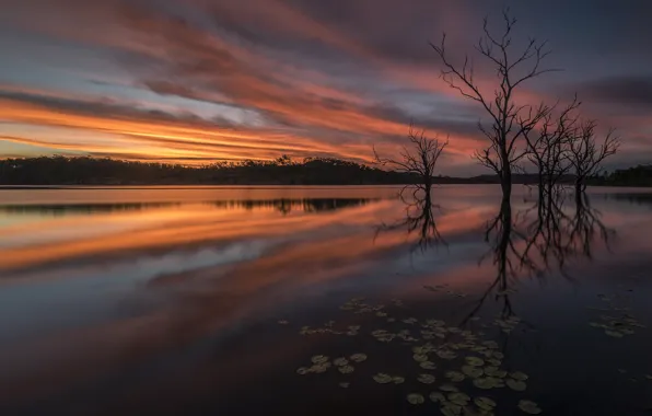 Leaves, trees, sunset, branches, lake, reflection, strip, shore