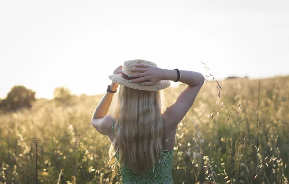 Field, summer, the sky, girl, light, pose, back, hat