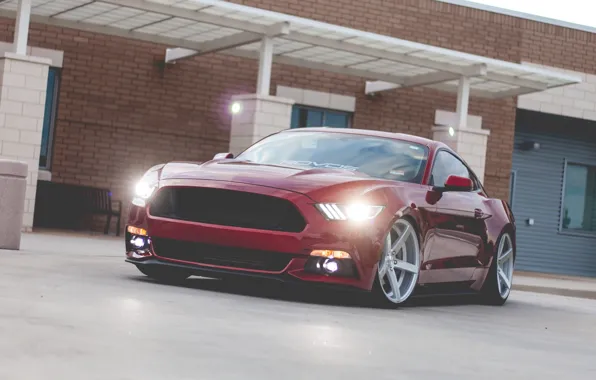 Picture Ford, mustang, light, red, new, 2015