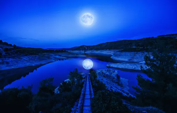 Lake, reflection, the moon, mirror, moonlight