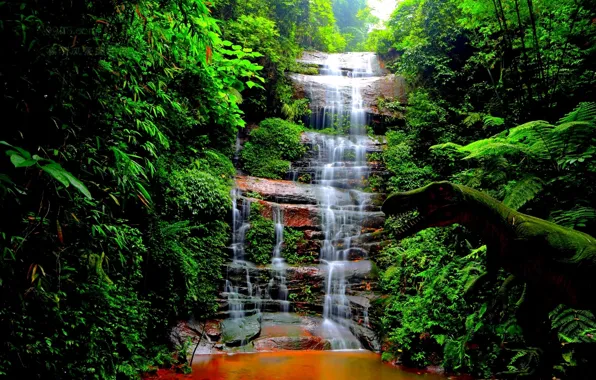 Grass, trees, nature, waterfall, dinosaur
